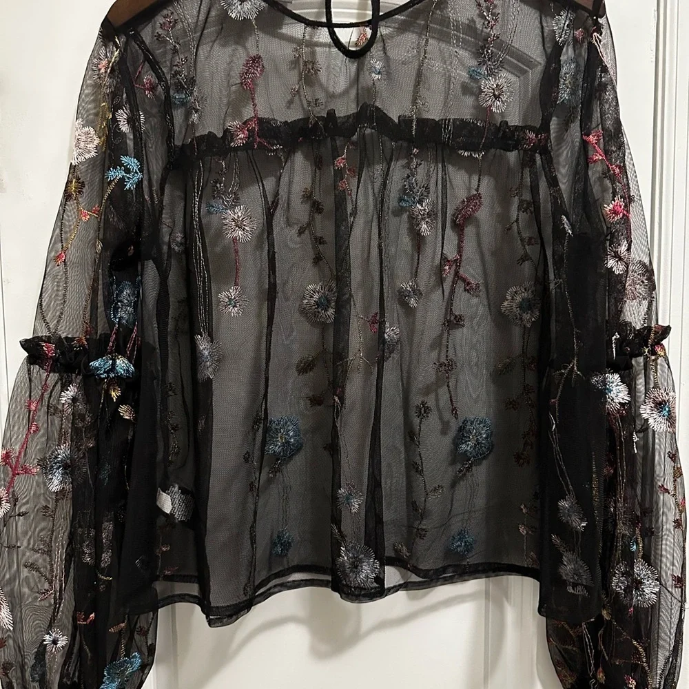 Women’s Embroidered Long Sleeve Mesh Fairy Grunge Top Size L Whimsygoth Festival - Picture 9 of 15